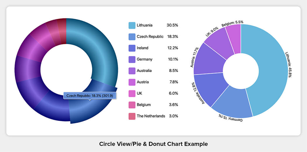 Circle View/Pie & Donut Chart Example