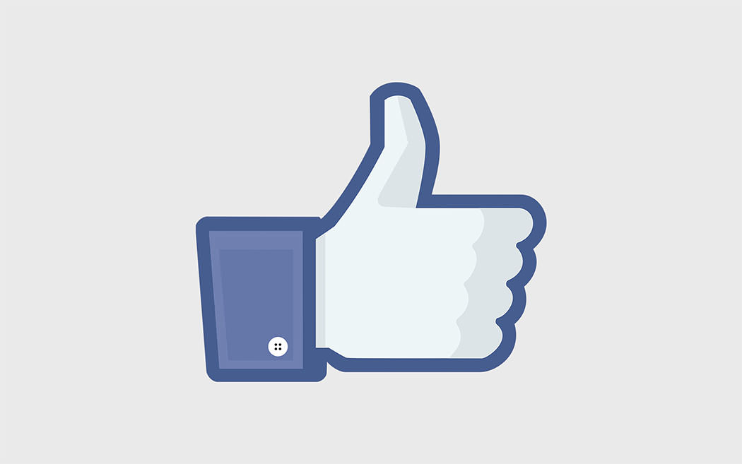 Facebook Updates: New Facebook Developers Like Plugin Widget