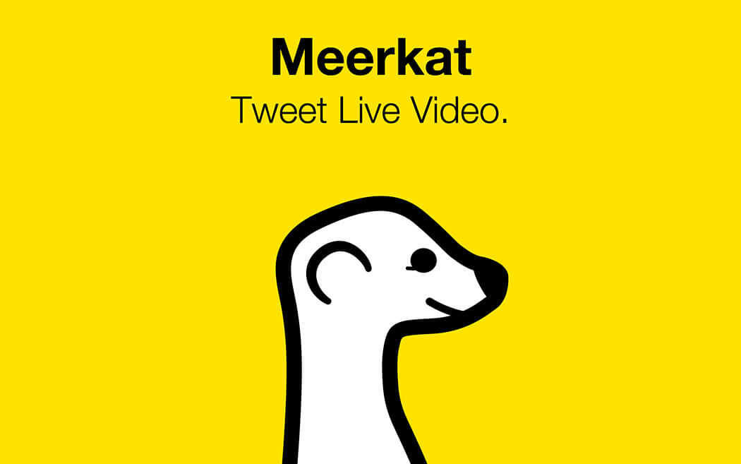 What is Meerkat?